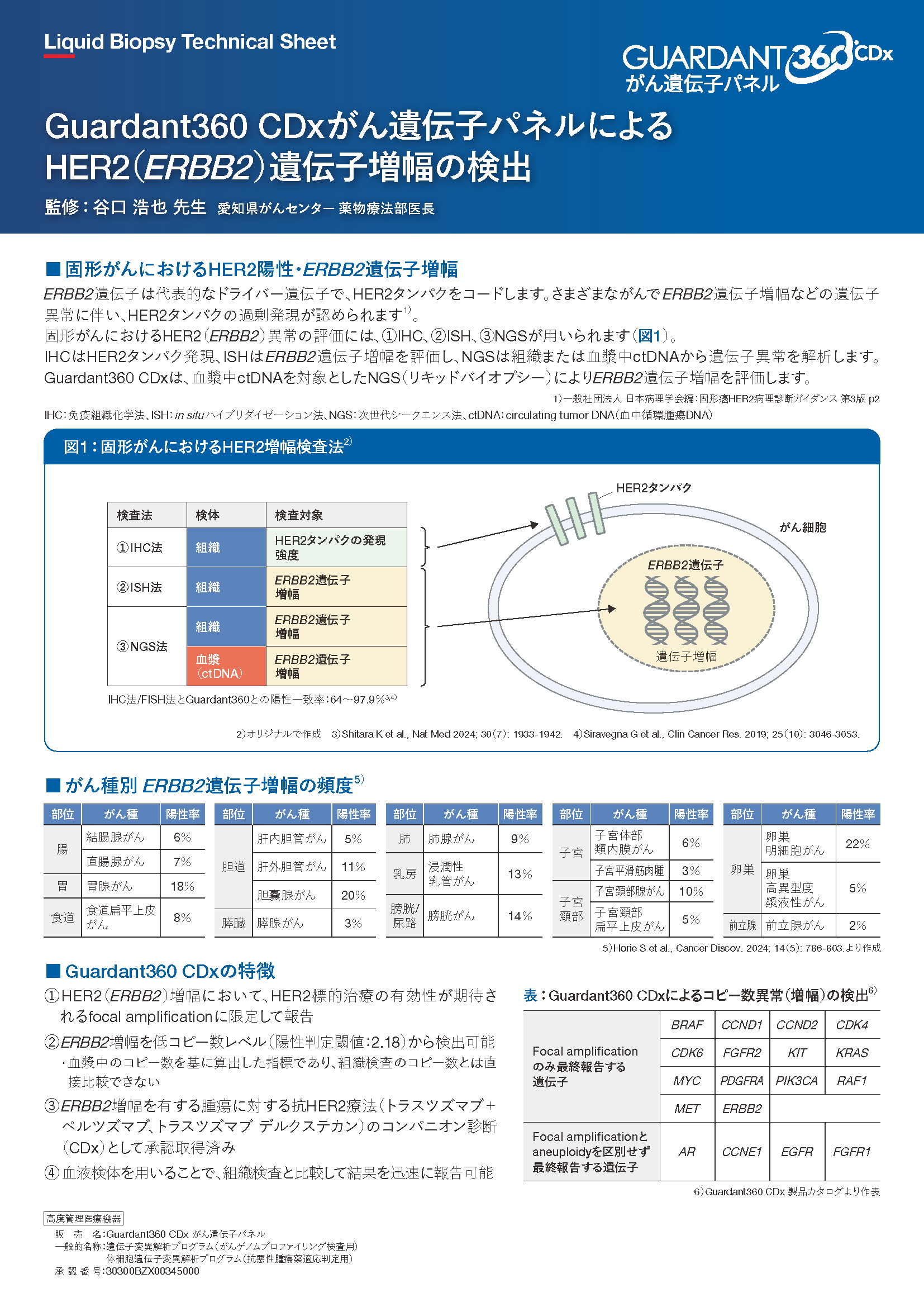 Guardan360 CDx がん遺伝子パネルによるHER2（ERBB2*）遺伝子増幅の検出